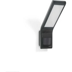 STEINEL XLED 012052