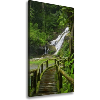 Vertikálny foto obraz na plátne Chodník v džungli 50x100 cm