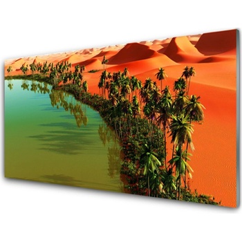 Obraz plexi Jazero púšť palmy 100x50 cm