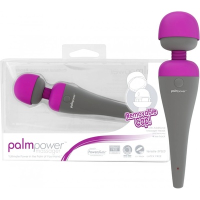 PalmPower Recharge