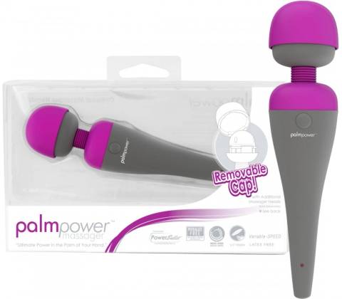 PalmPower Recharge