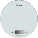 TESLA KS200W