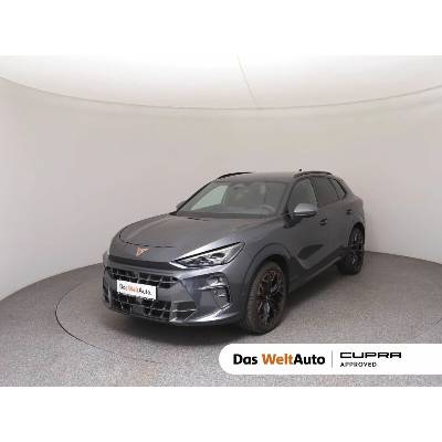 Cupra Terramar 2.0 TSI 4Drive DSG 150 kW