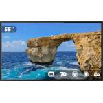 EVOBOARD TP-550BH