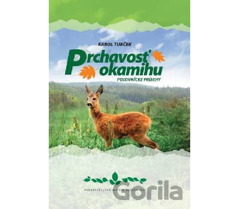 Prchavosť okamihu