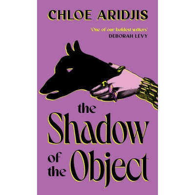 Shadow of the Object