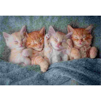 Castorland - Puzzle The Sweetest Kittens - 1 000 piese
