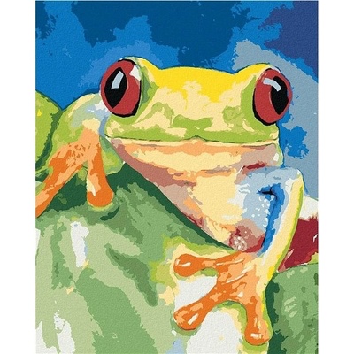 zuty Malování Podle Čísel Žába Sedící Na Listu 40 x 50 Cm Plátno Rám