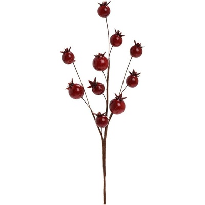 ZÁPICH ŠÍPKY ČERVENÉ 25CM