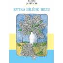 Kytka bílého bezu