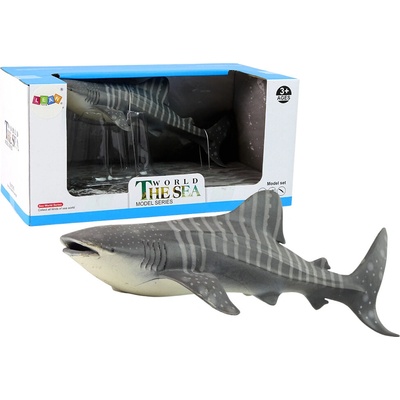 mamido Žralok veľryba Svet Mora