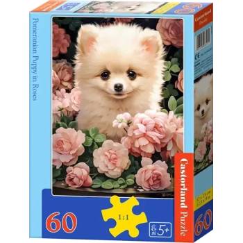 Image 1 of Castorland - Puzzle Pomeranian Puppy in Roses - 40 - 99 piese