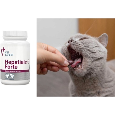 VetExpert Hepatiale Forte Small breed & cats 40 kapslí – Hledejceny.cz