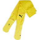 Puma Team FINAL socks
