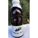 Nature Notea Babiččin sirup Černý rybíz 0,5 l