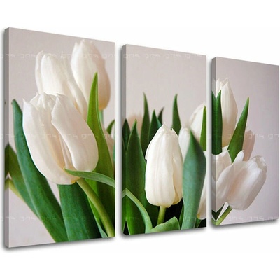 Obraz na stenu KVETY - 60x40