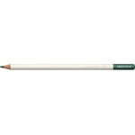 Tombow Цветен молив Irojiten scouring rush (CI-REX3)