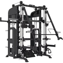 IRONLIFE Smith Machine Jammer Arm System