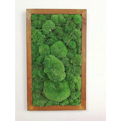 Mechový obraz- kopečkový mech 90cm x 50cm
