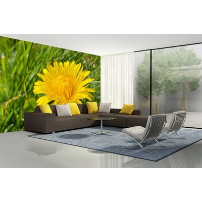 Dimex MA-5-1337 Samolepicí vliesová fototapeta na zeď Jarní pampeliška rozměry 375 x 250 cm