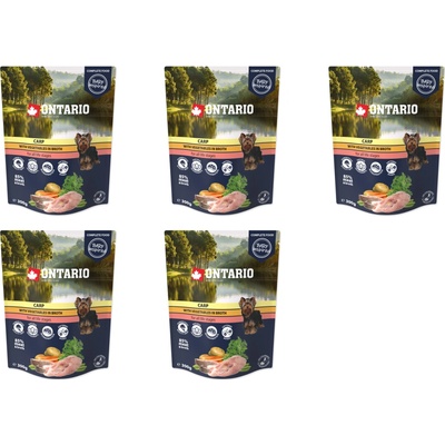 Ontario kapr se zeleninou ve vývaru 5 x 300 g