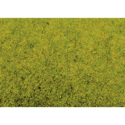 Noch Statická tráva jarní louka 2,5 mm 50210 – Hledejceny.cz
