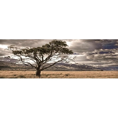 MORIMPEX Obraz plátno Savana, 50x120 cm