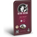 Sensi Seeds Big Bud semena neobsahují THC 10 ks