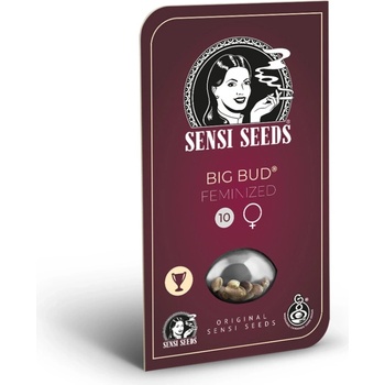 Sensi Seeds Big Bud semena neobsahují THC 10 ks