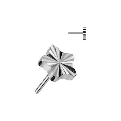 Šperky4U Hvězdička k Push In piercingu titan TIT1245-TI