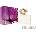KENZO Jungle (L'Élephant) EDP 50 ml