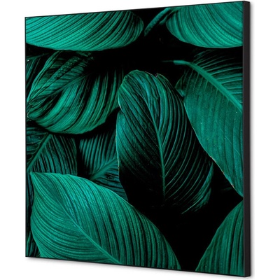 Jansen Display Textilní dekorace na zeď 40 x 40 Listy rostlin Zelená, 400 x 400 mm