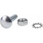 Baks Mushroom screw SG M6X25 650241 /100pcs /