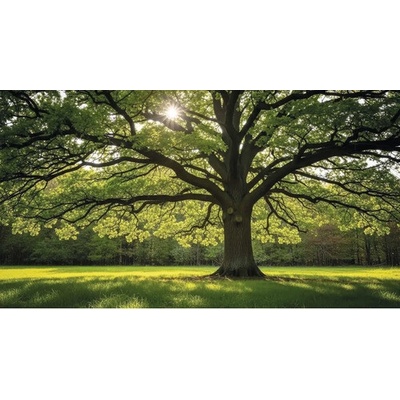 Obraz Decopanel Strom ART-S 40 x 133 cm