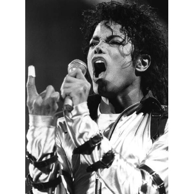 Plagát, Obraz - MICHAEL JACKSON The King of Pop', ., 30 × 40 cm