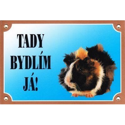 DAFIKO Barevná cedulka Pozor Morče