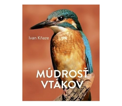 Múdrosť vtákov