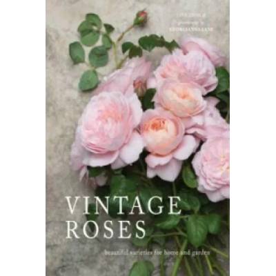 Vintage Roses | Jane Eastoe