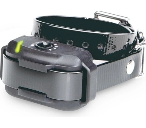 Dogtra eF-3500