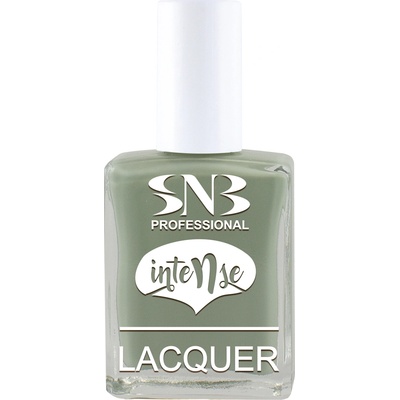 SNB Лак за нокти snb Интензив АЛЕКСАНДРА, зелен, 15 мл (nli018)