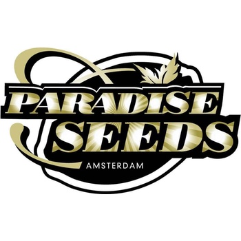 Paradise Seeds Space Cookies semena neobsahují THC 1 ks