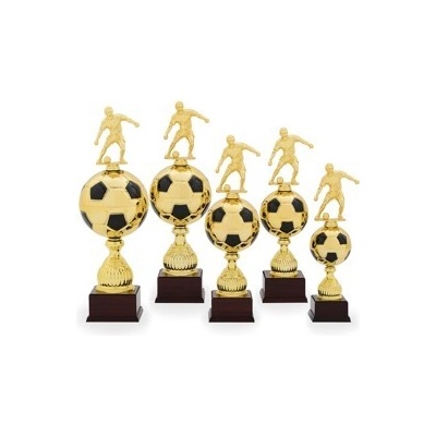 Pohár fotbal PS 22526.1