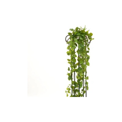 Girlanda Photosu Premium, 170 cm