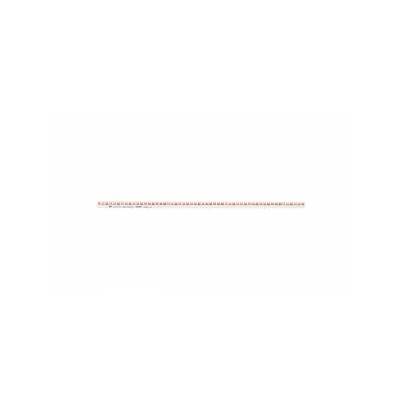 3P 100A 16mm2 Fork Connection Rail (54 mod. ) IZ16/3F/54 002921063