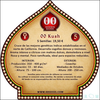 00 Seeds Bank 00 Kush semienka neobsahujú THC 3 ks