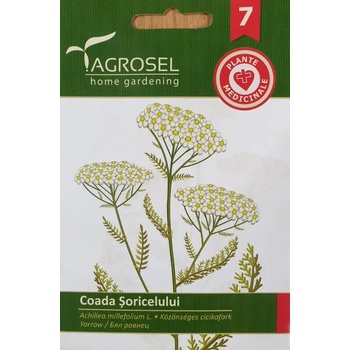 Agrosel Бял равнец / Achillea millefolium
