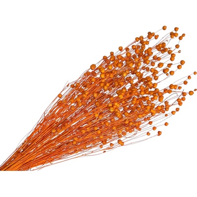 Sušený ľan - kytica cca 100g - jasný oranžový
