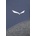 Salewa Спортен суичър Salewa (00.0000027221)
