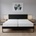 Lema Spring