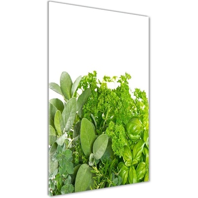 Vertikálny foto obraz sklo tvrdené Bylinky 50x100 cm